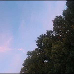 Meet your Posher, Emilie